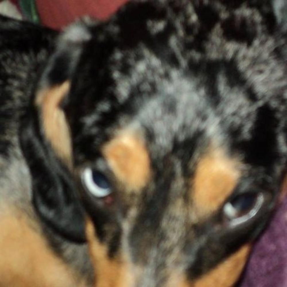 Meet your Posher, Edie